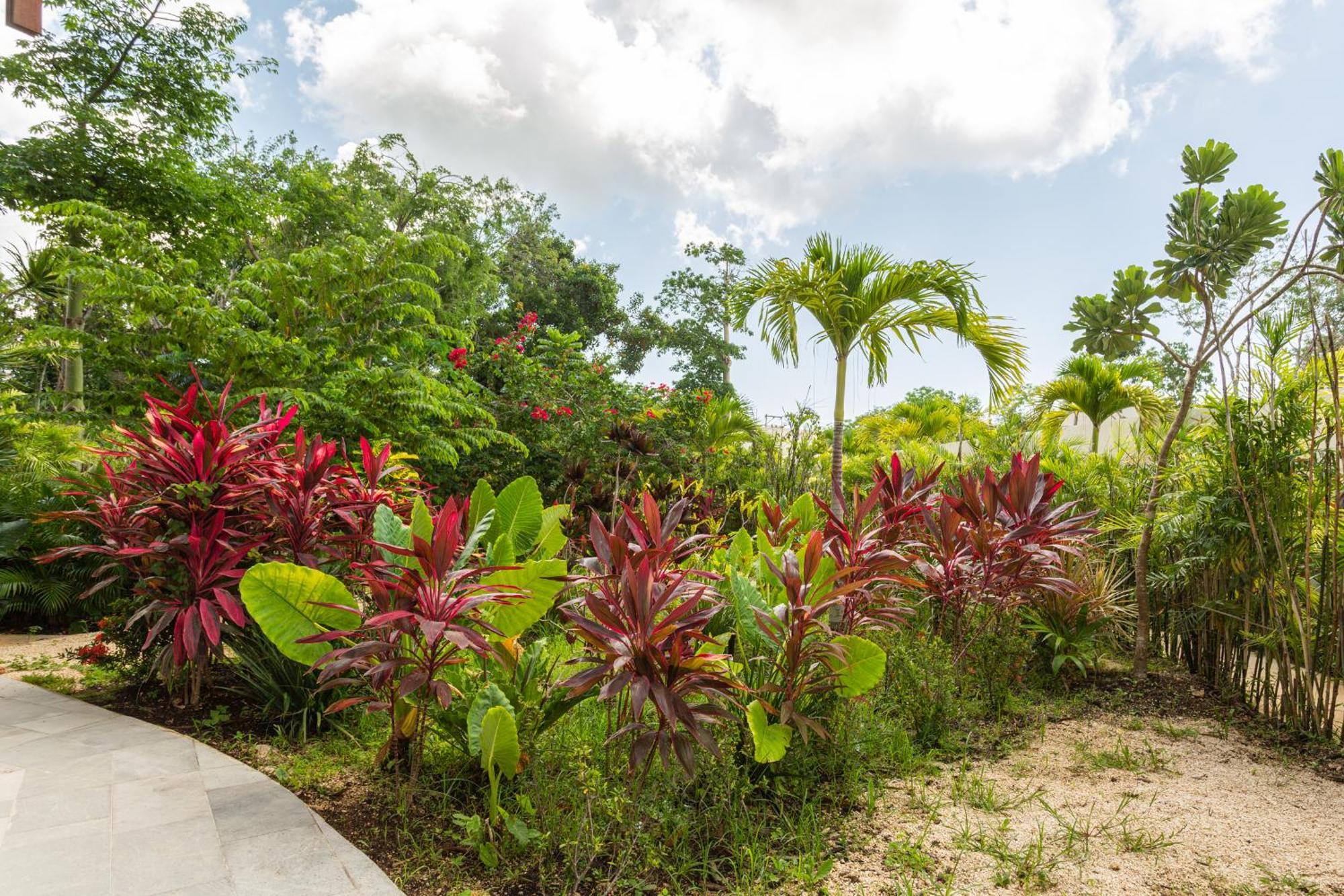 Mistiq Gardens Apartamento Tulum Quarto foto
